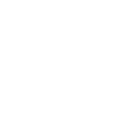 IT for She